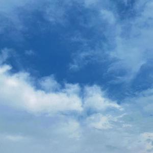 滝川恵理中文无码AV
